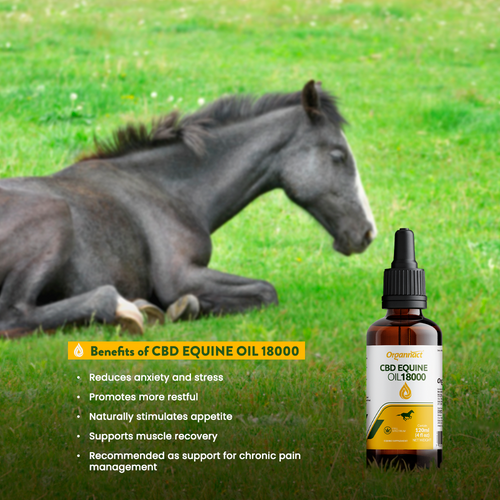 CBD EQUINE OIL 18000