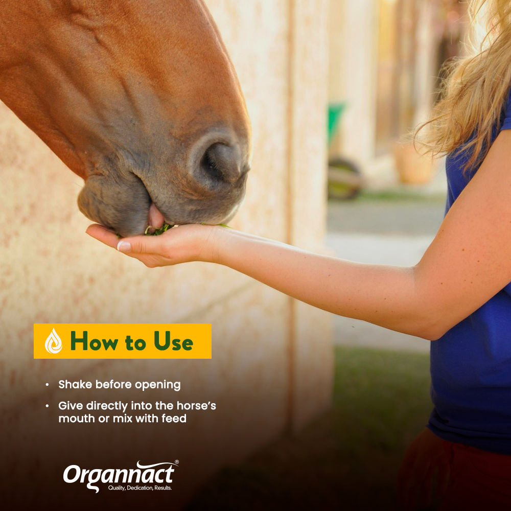 CBD EQUINE OIL 18000