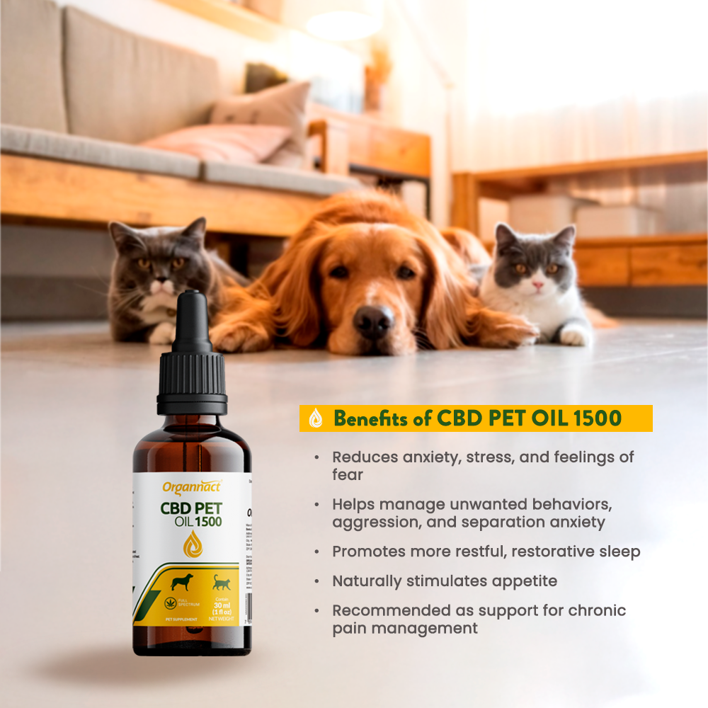 CBD PET OIL 1500