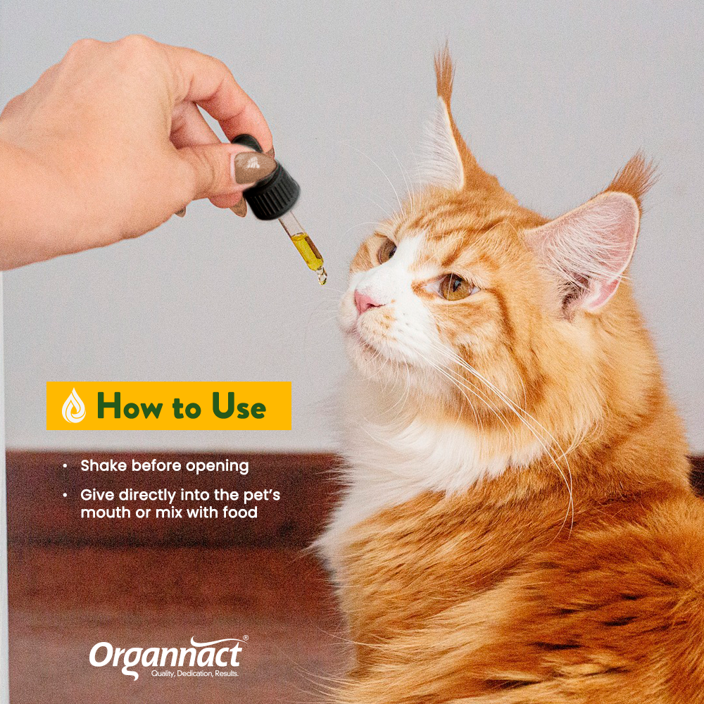 CBD PET OIL 1500