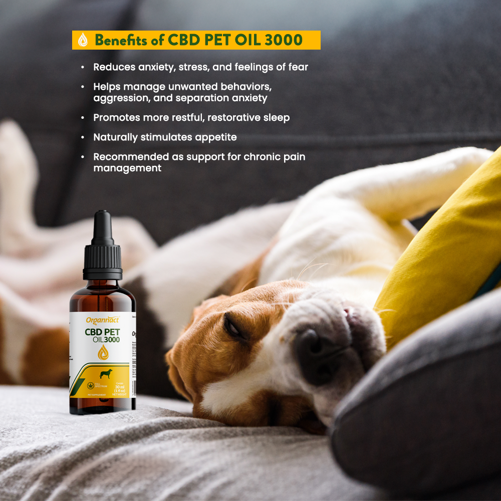CBD PET OIL 3000