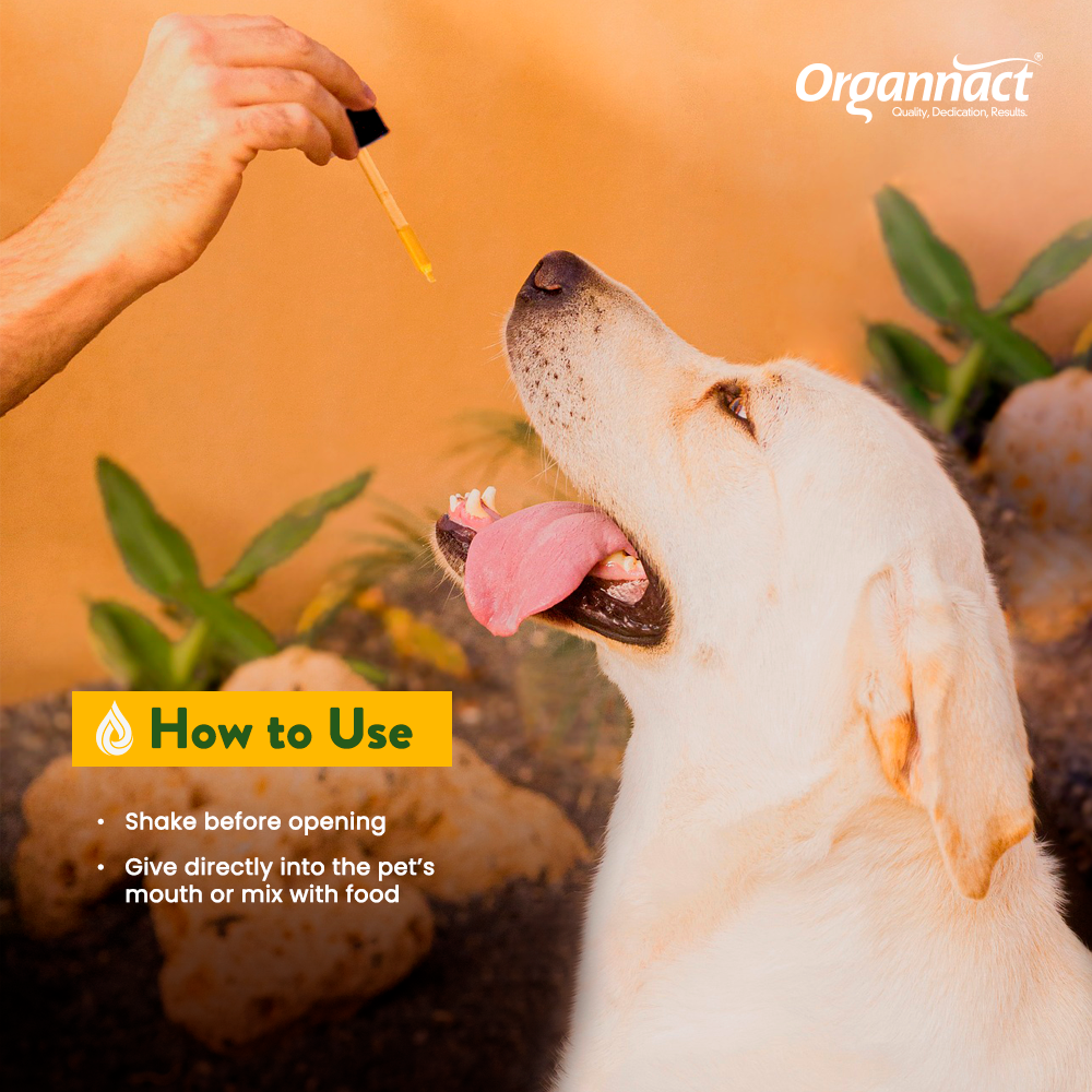 CBD PET OIL 3000